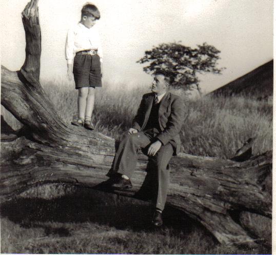 the old tree at coffin wood