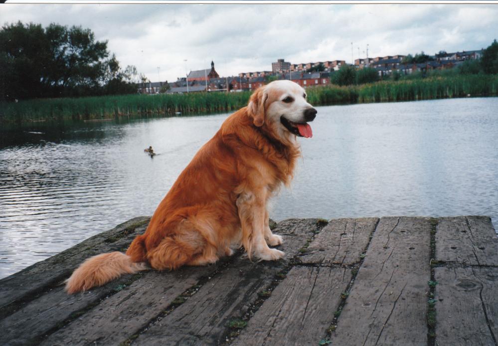 William Foster Playing Fields, Summer 1994