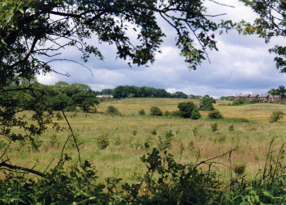 Aspull, St David's Crescent