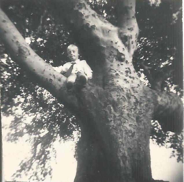 Gore's Lane c1956.