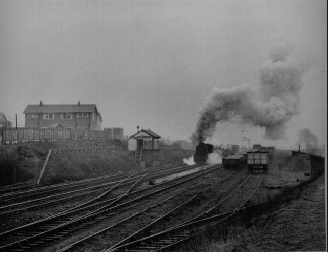 Rylands Sidings, Whitley Rylands Sidings, Whitley