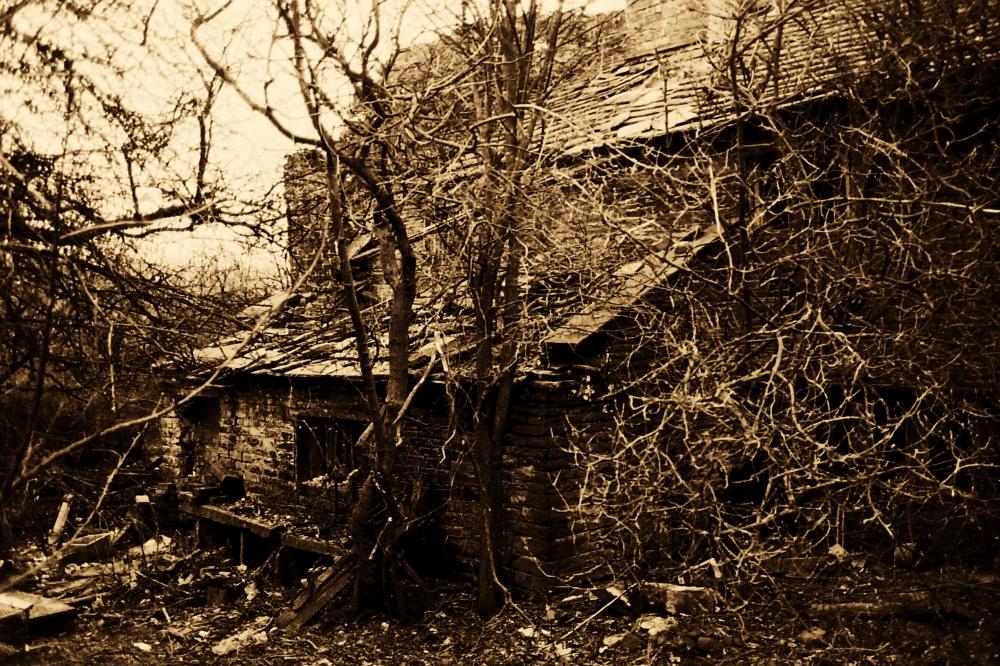 Belle Vue Farm.
