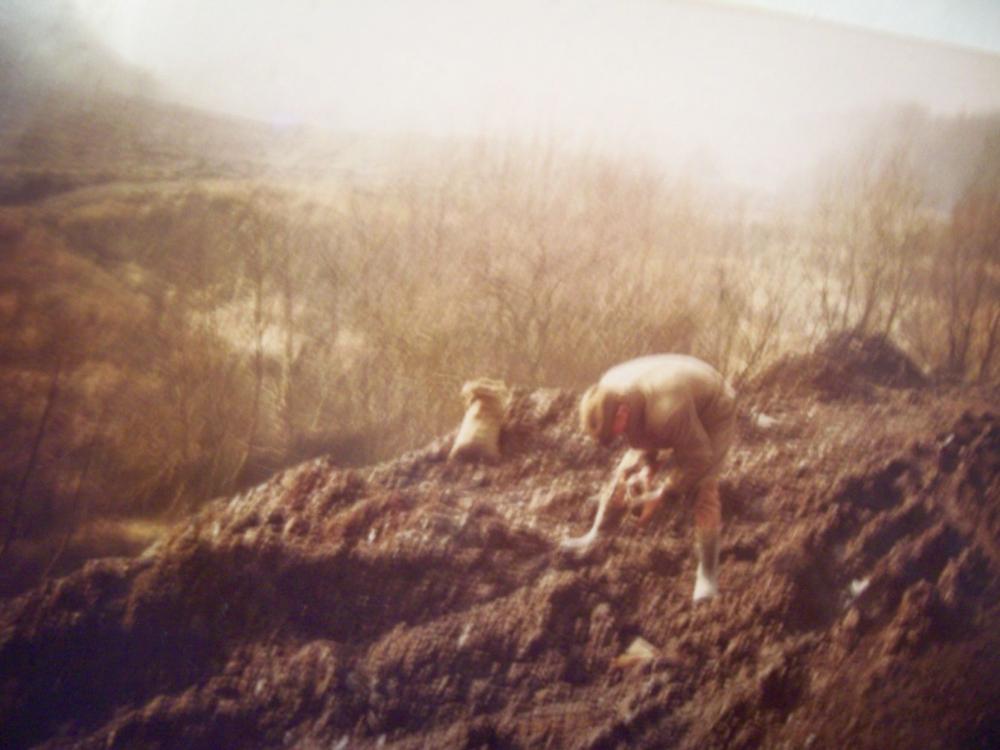 Coal picking Coal picking