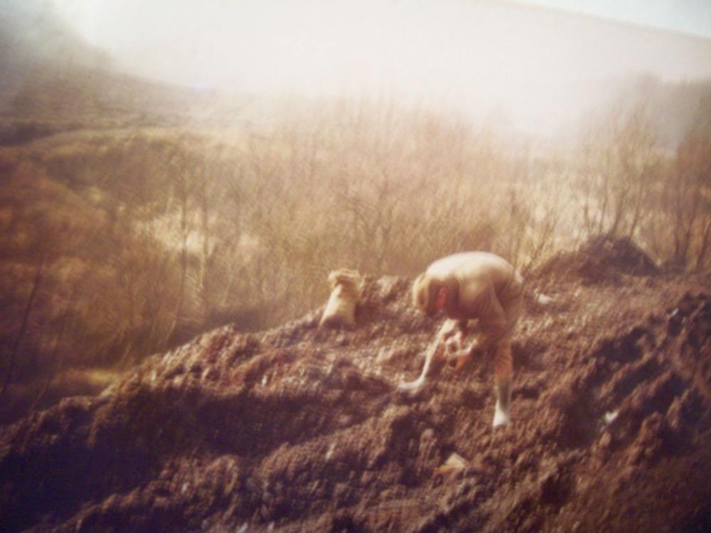 Coal picking