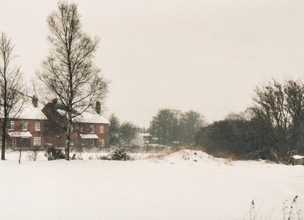 Manor Grove Manor Grove