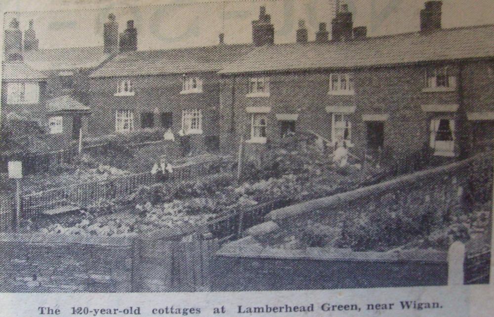 Observer Cutting 1930's. Observer Cutting 1930's.