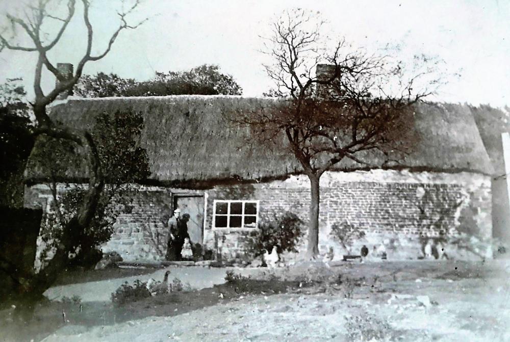 THE OLD THATCH THE OLD THATCH