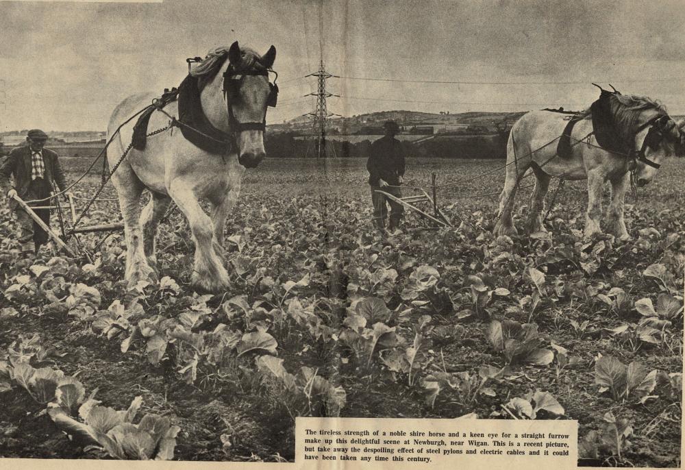 An image from a time long gone. An image from a time long gone.