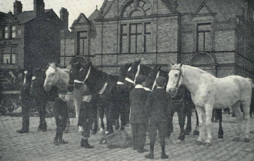 Wigan Horse Fair