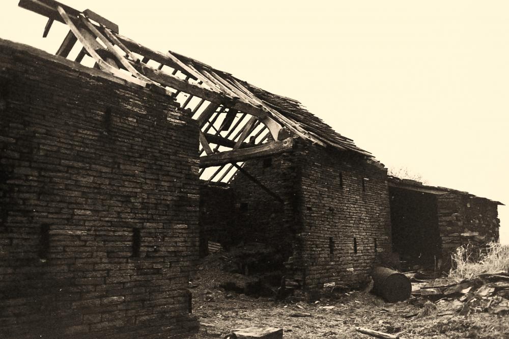 Belle Vue Farm.