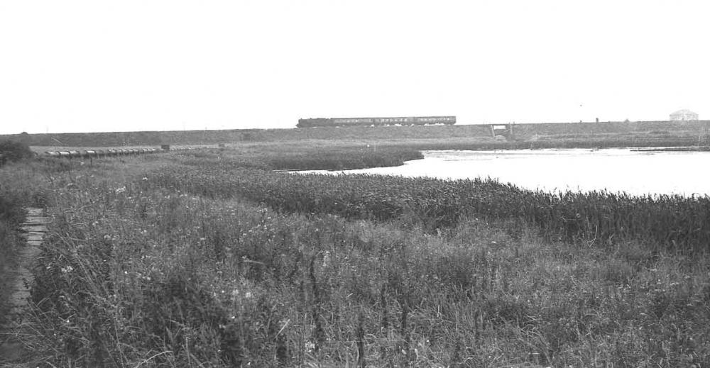 Platt Bridge