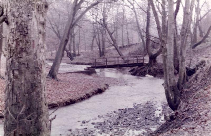 Borsdane Wood.