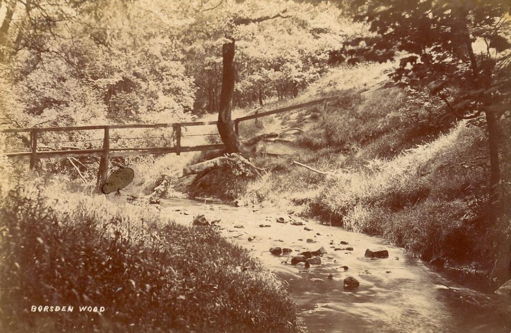 Borsdane Wood, Hindley