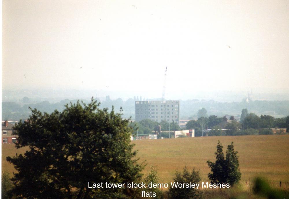 Worsley Mesnes flats