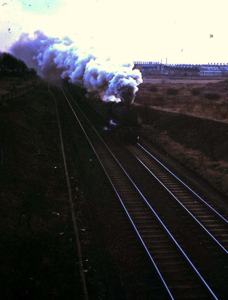 Steam Train 