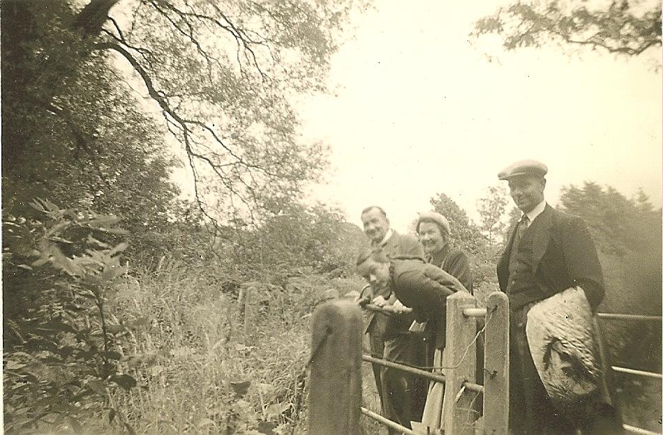 Above Mill Dam stream waterfall 28-07-1957