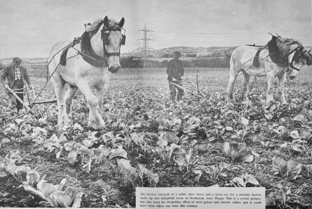 Hanging on to tradition - Newburgh 1967 Hanging on to tradition - Newburgh 1967