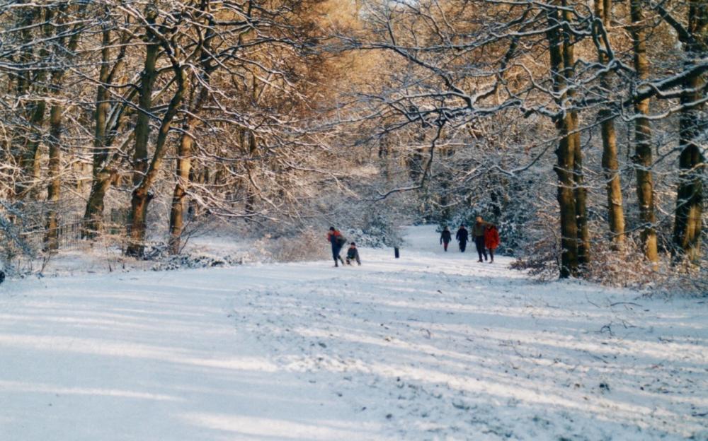 Haigh Hall