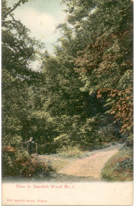 View in Standish Wood.