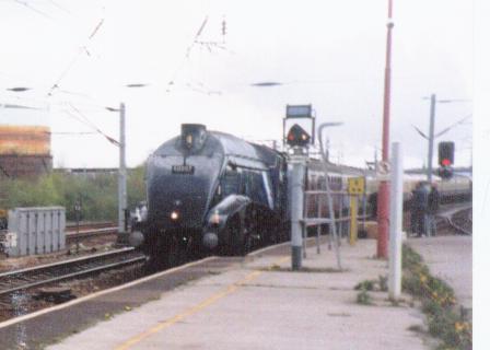 Mallard or Sir Nigel Gresley? Mallard or Sir Nigel Gresley?
