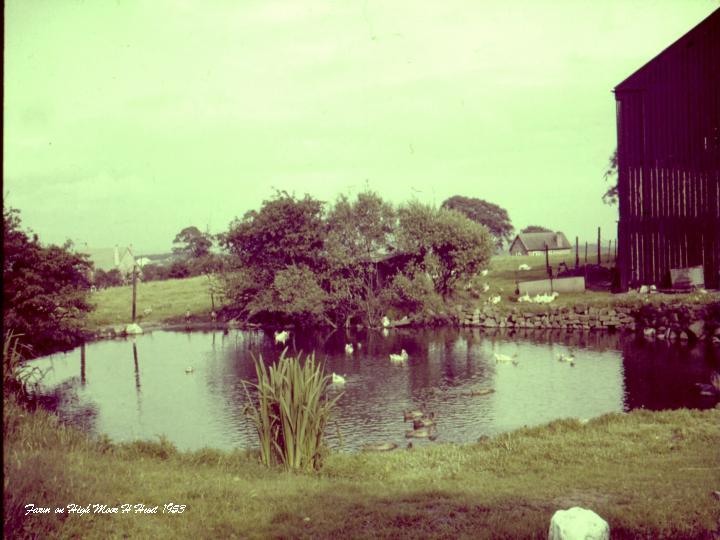 Farm at High Moor