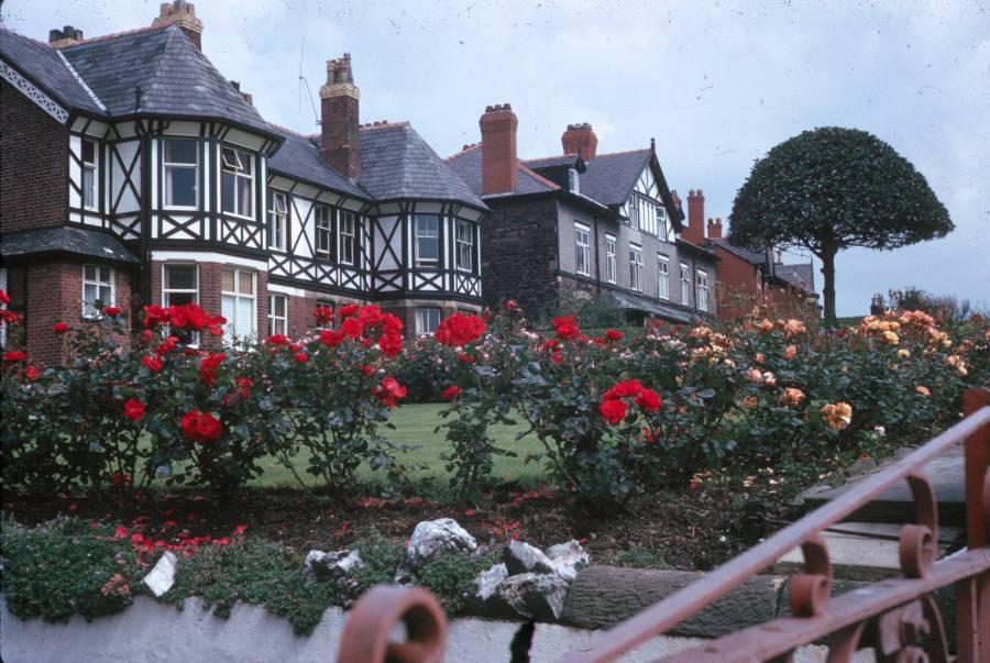 Houses on Liverpool Road, 1964.