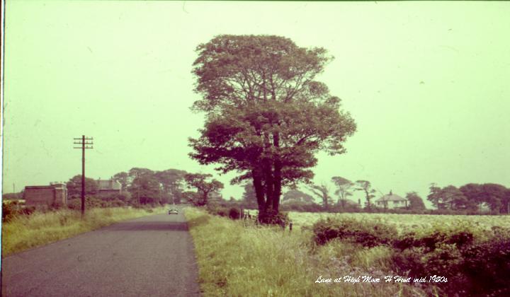 Road at High Moor