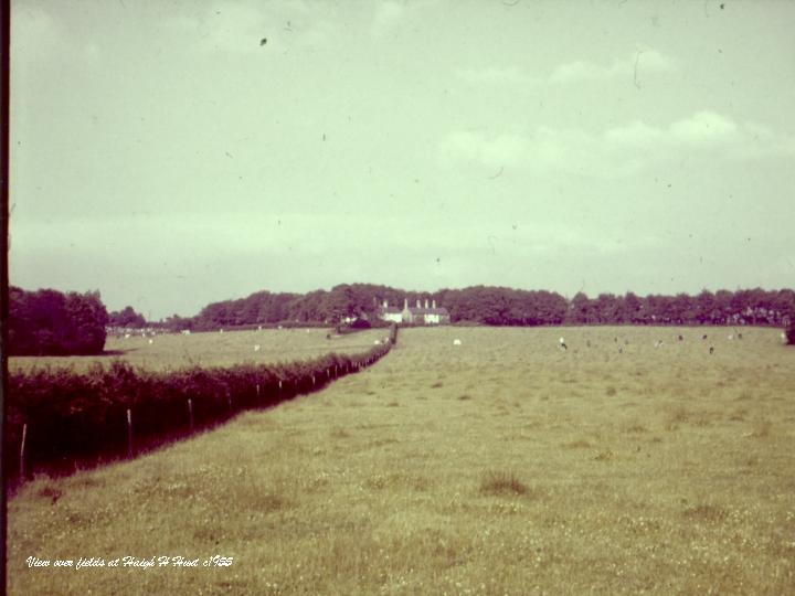 Fields and farm at Haigh