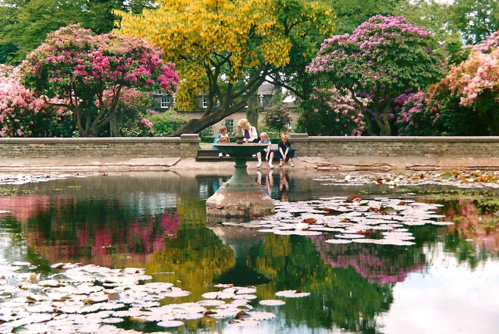The Goldfish Pond The Goldfish Pond
