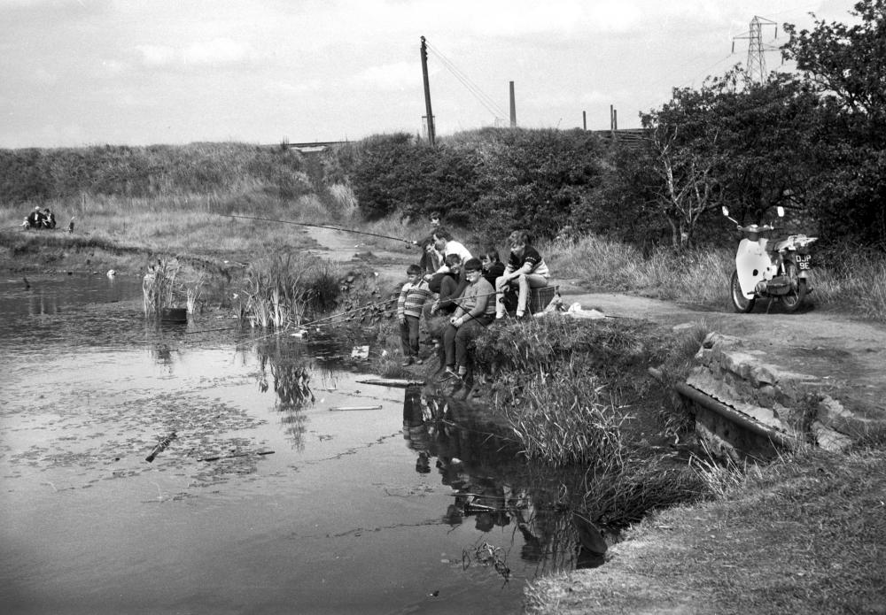 MARTLAND MILL CLAY PIT