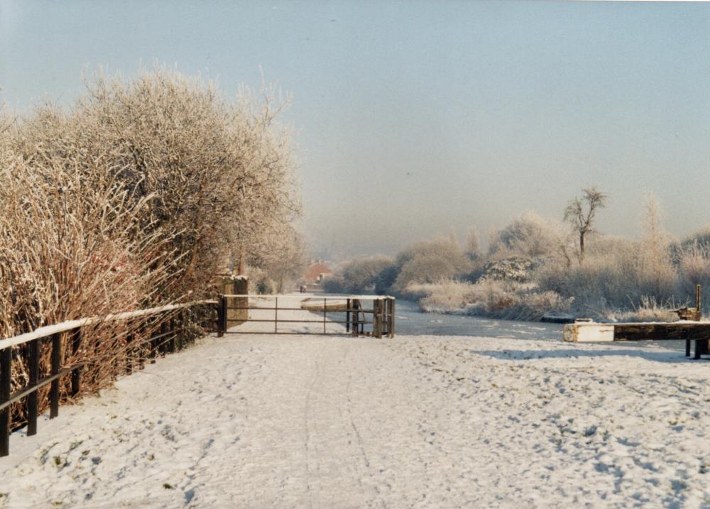 Branch Line Branch Line