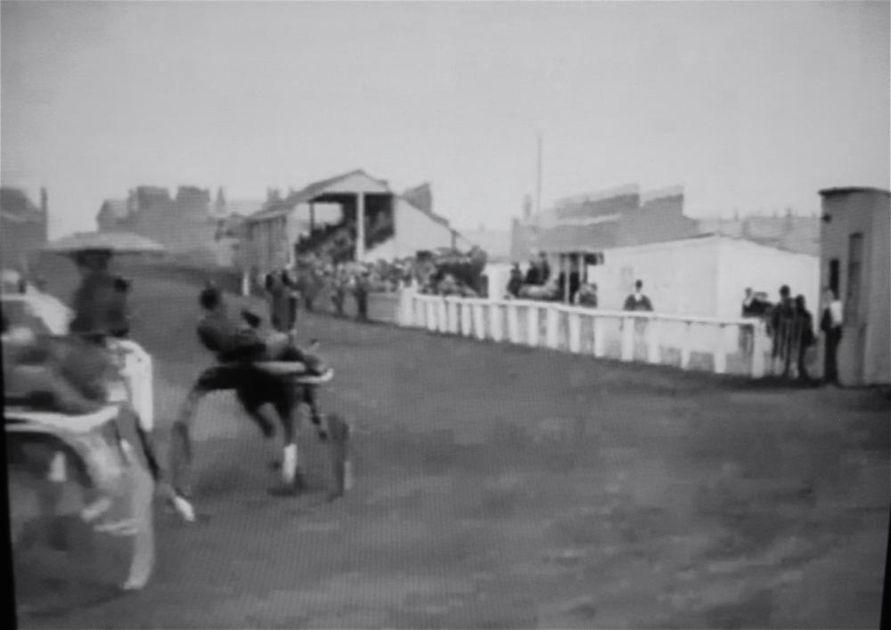 Trotting match at Springfield Park, Wigan June 20th 1904 Trotting match at Springfield Park, Wigan June 20th 1904