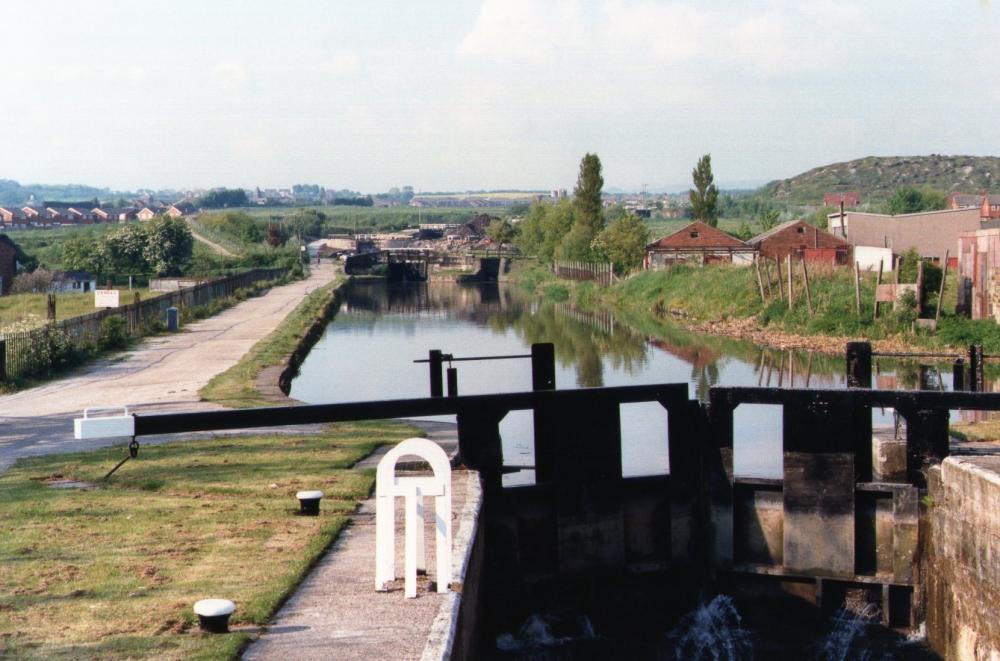 Rose Bridge Picture