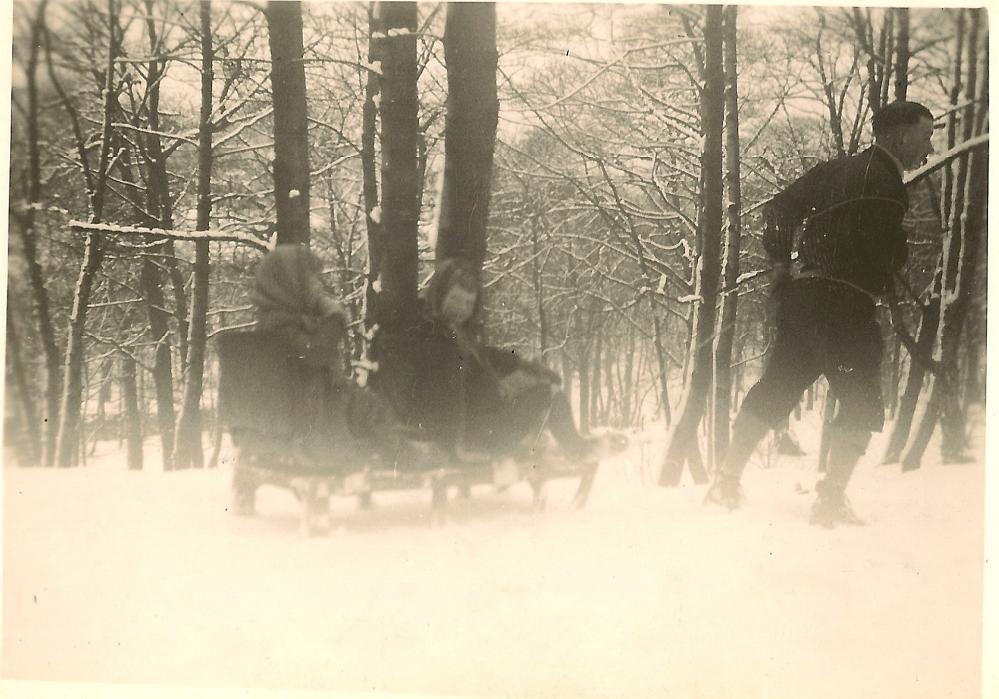 The Big Sledge in The Plantations 17-02-1940
