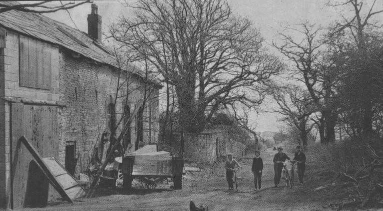 Strickland House Farm Wood Lane 1968. Strickland House Farm Wood Lane 1968.