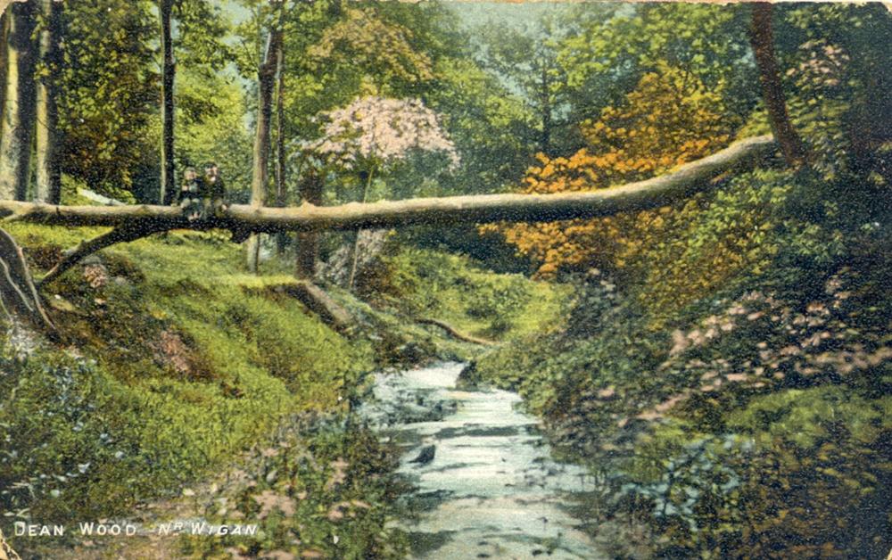 UpHolland, Dean Wood. UpHolland, Dean Wood.