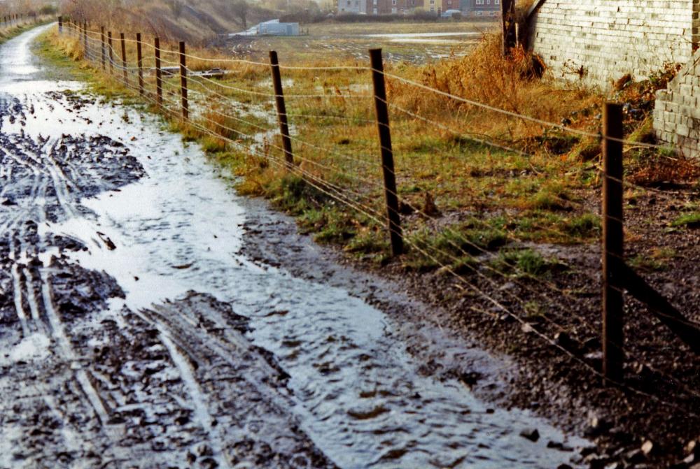 Cycle Path