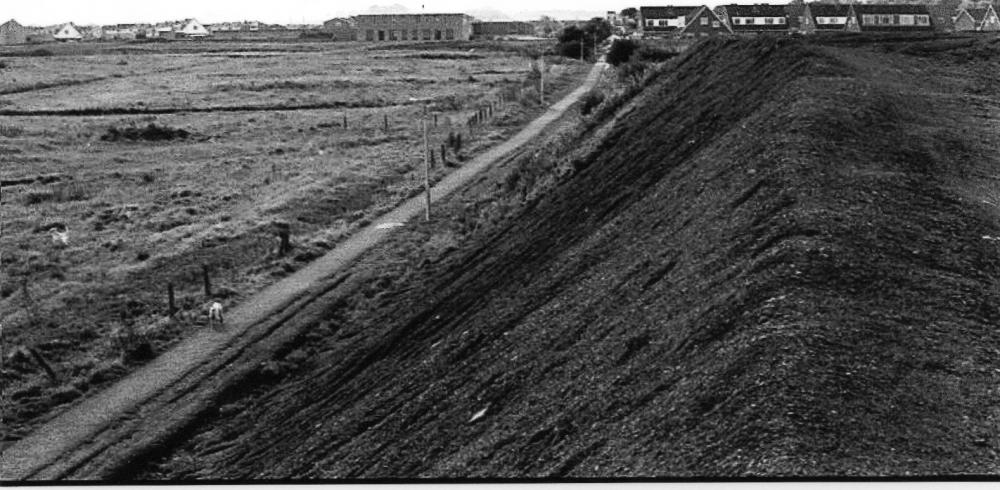 looking towards Highfield Grange Avenue  estate