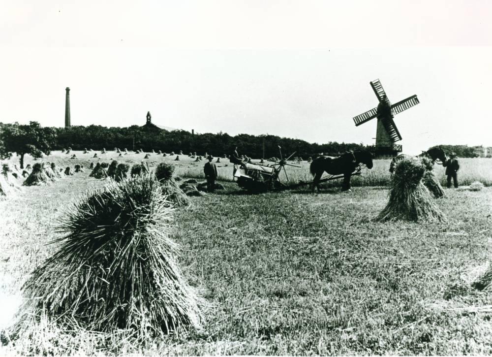 Haigh Windmill