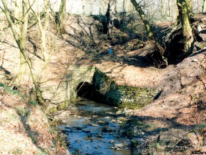Arley Brook Arley Brook