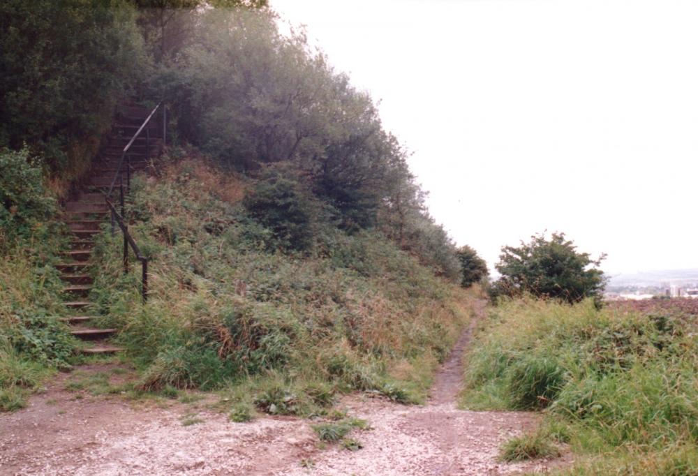 The "Wutchie" Aspull The "Wutchie" Aspull