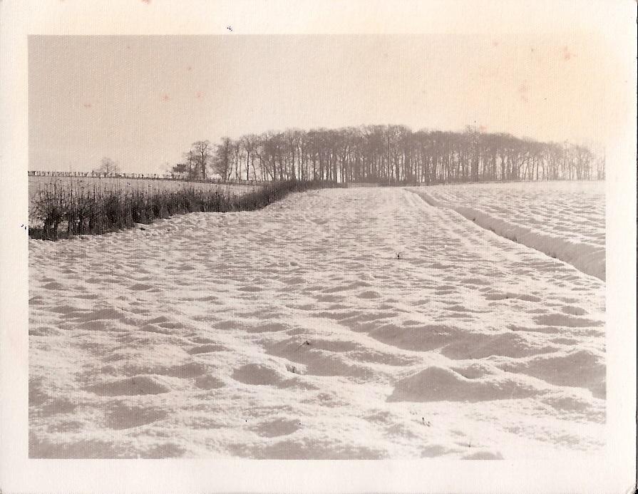 watkins brow 1950 watkins brow 1950