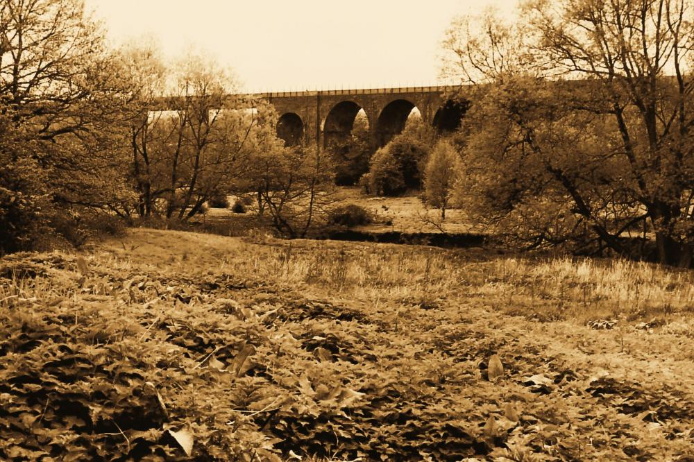 whelley loop viaducts