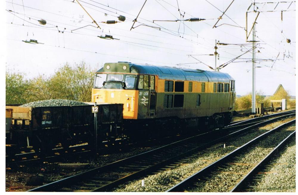 Class 31