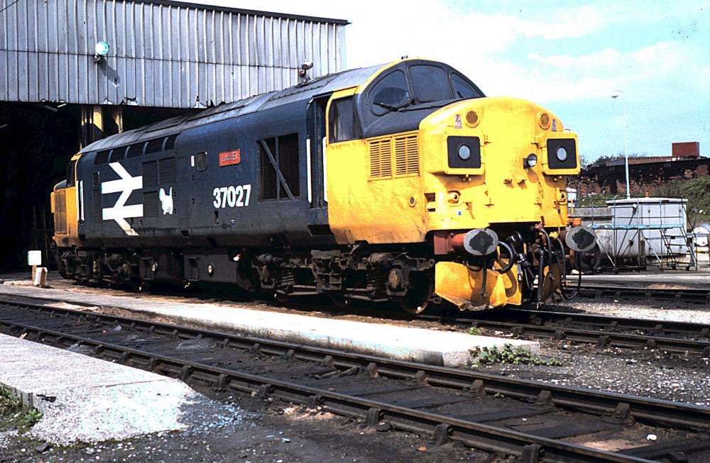 Class 37 at Springs Branch Class 37 at Springs Branch