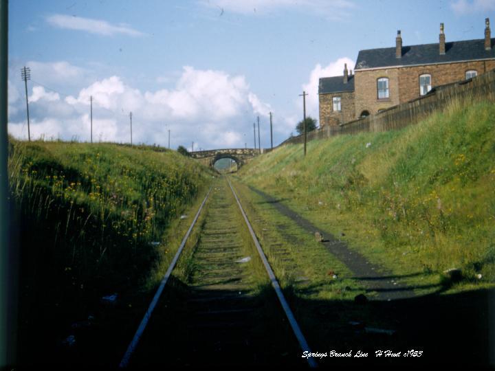 Springs Branch Line