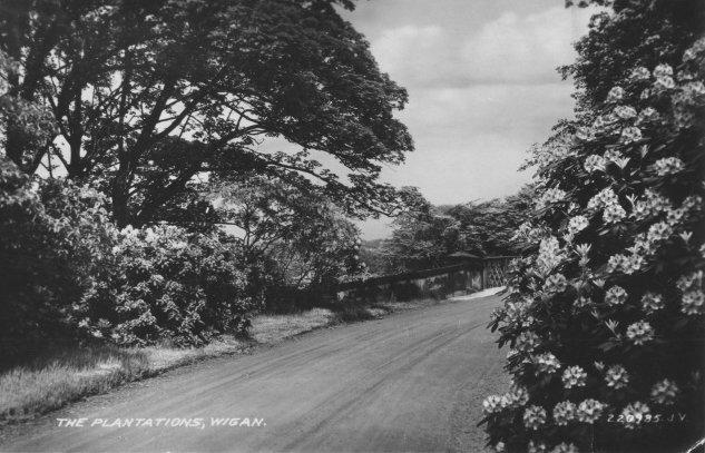 Plantations, c1930s. Plantations, c1930s.