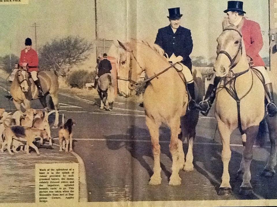 Tally Ho Tally Ho