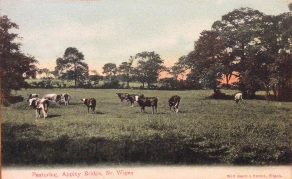 POSTCARD EARLY 1900'S