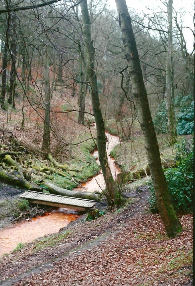 Yellow Brook Yellow Brook